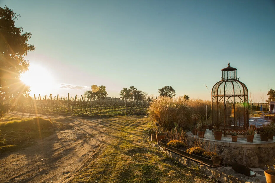 O  Narbona Wine Lodge, um dos locais atraentes de Punta, foi a escolha dos noivos  Mariana e Ivo para comemorar seu casamento (Foto: Divulgação)