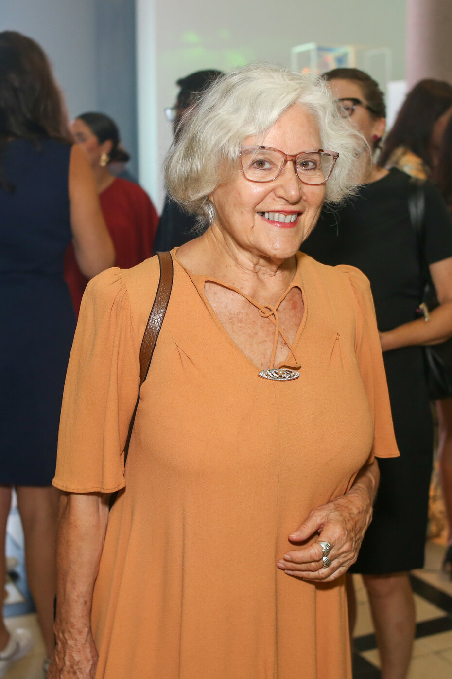 A artista plástica Vera Chaves Barcellos (Foto: Lenara Petenuzzo/Divulgação)