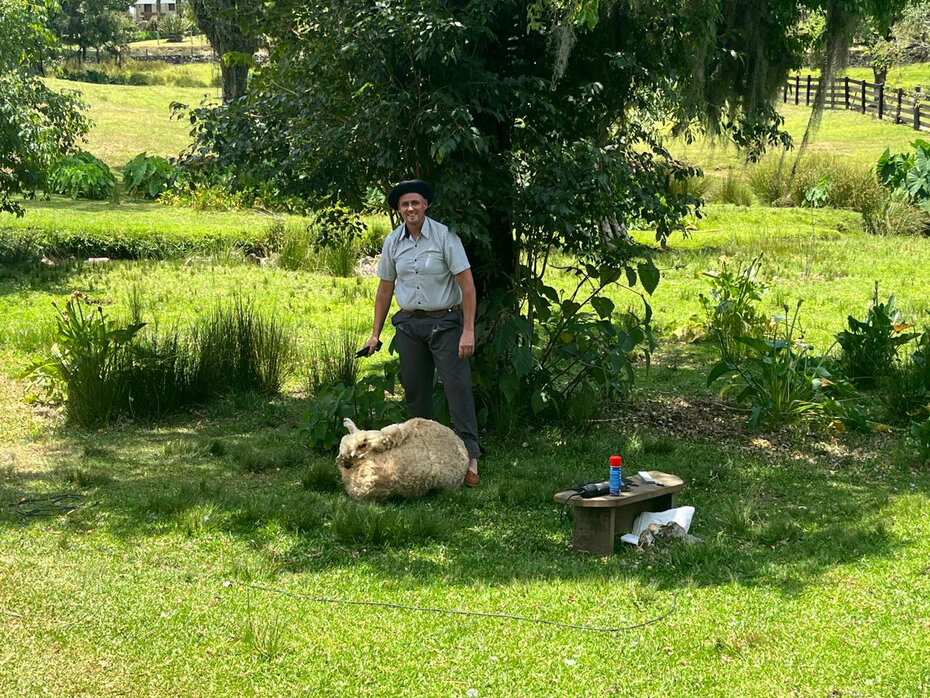 O tosquiador Jaime Eduardo Ev (Foto: Paulo Gasparotto/Especial)