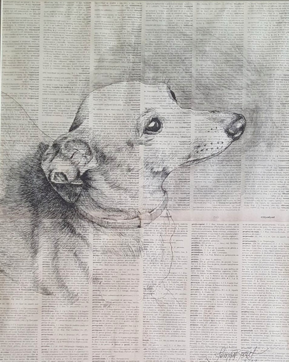 O tra&ccedil;o de Tomas Barth em evid&ecirc;ncia (Foto: Divulga&ccedil;&atilde;o)