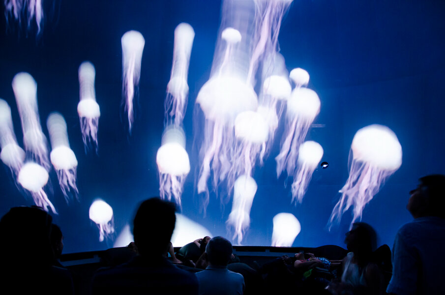 A mostra faz um mergulho na imensid&atilde;o dos oceanos (Foto: Divulga&ccedil;&atilde;o)