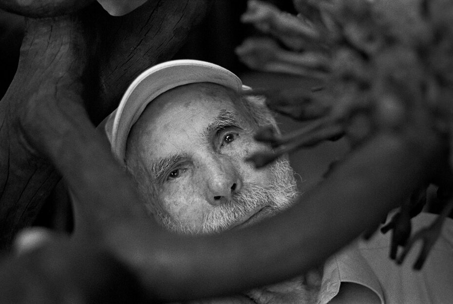 Frans Krajcberg &eacute; tema de exposi&ccedil;&atilde;o na Caixa Cultural na capital carioca (Foto: Christian Cravo/Divulga&ccedil;&atilde;o)