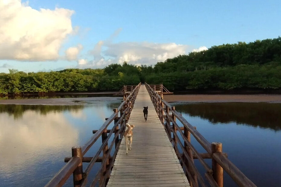 A natureza deslumbrante &eacute; um dos atrativos para quem se hospeda por l&aacute; (Foto: Divulga&ccedil;&atilde;o)